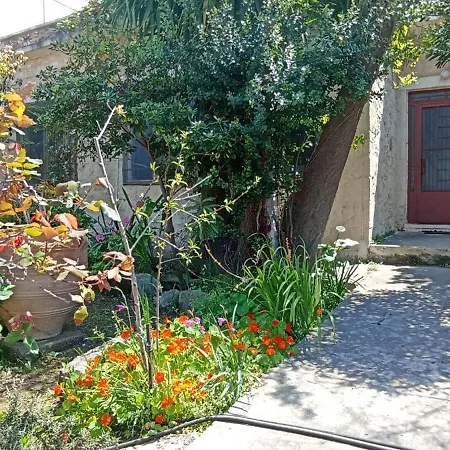 Stone House Into Amazing Garden * La Canea