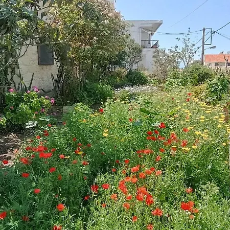 Casa vacanze Stone House Into Amazing Garden La Canea