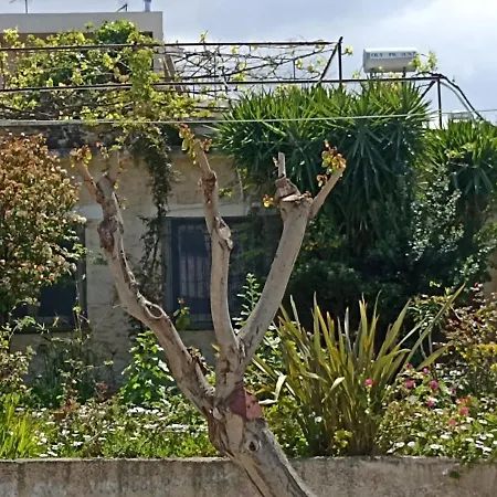 Stone House Into Amazing Garden Casa vacanze La Canea